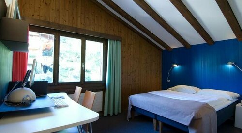Гостиница Alpine Lodge в Занене