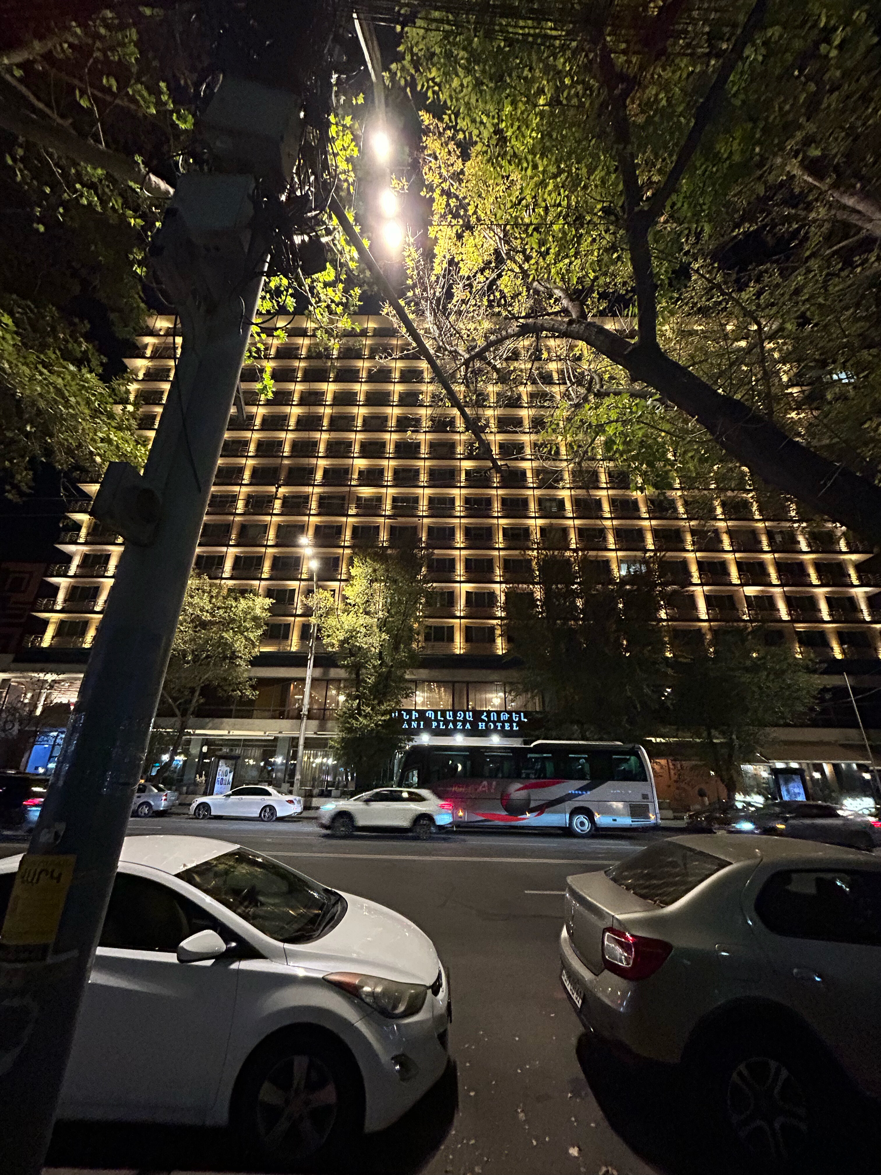 Фото Ani Plaza Hotel