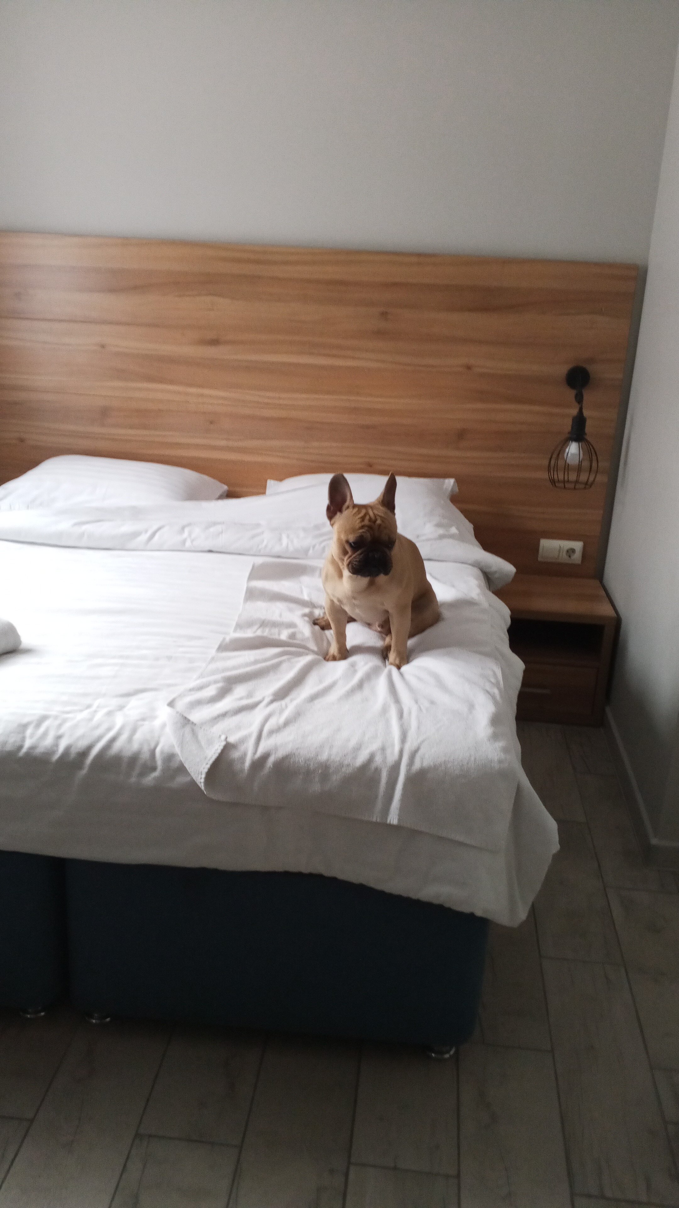 Фото Бостон