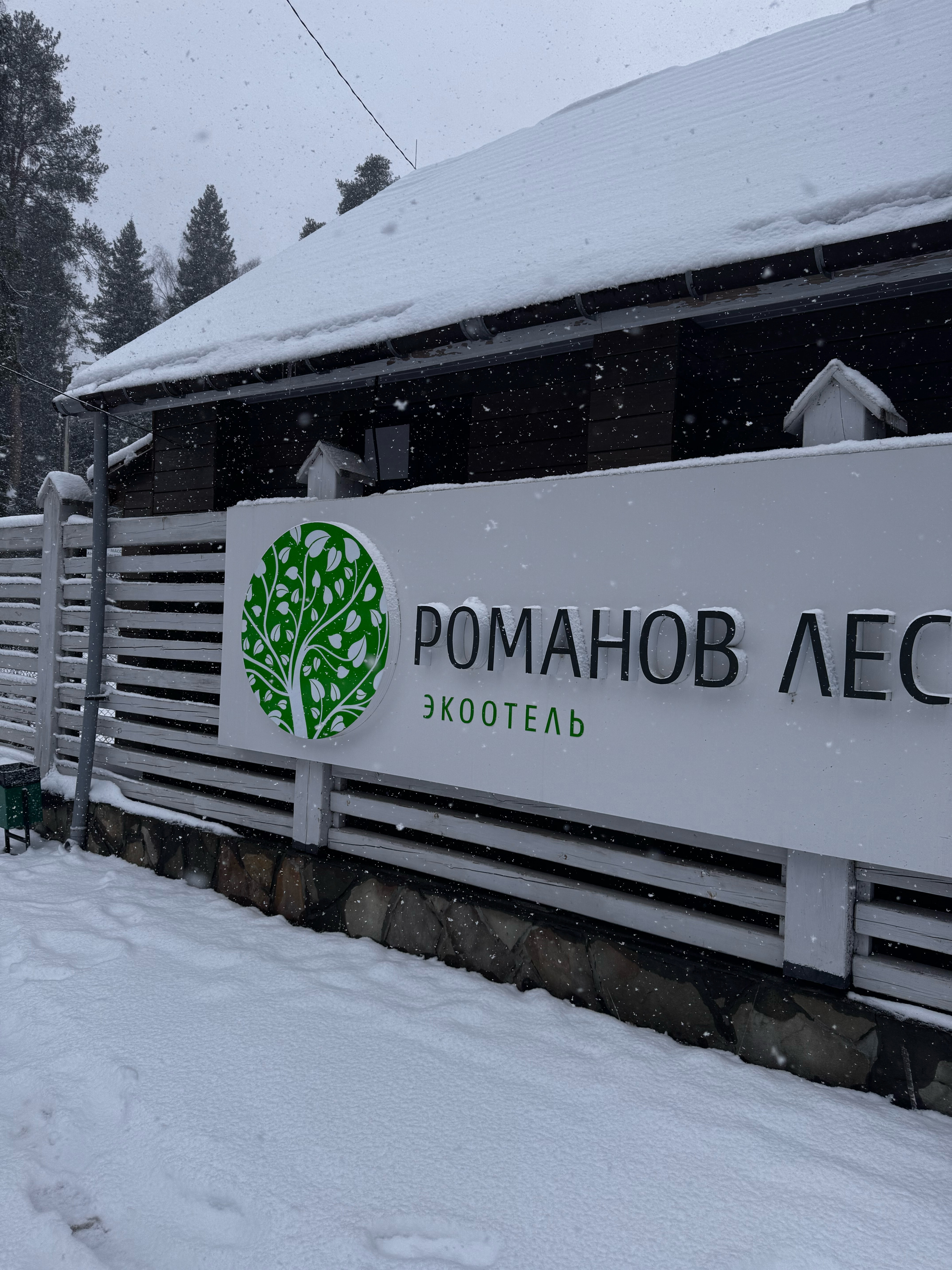 Фото Романов лес