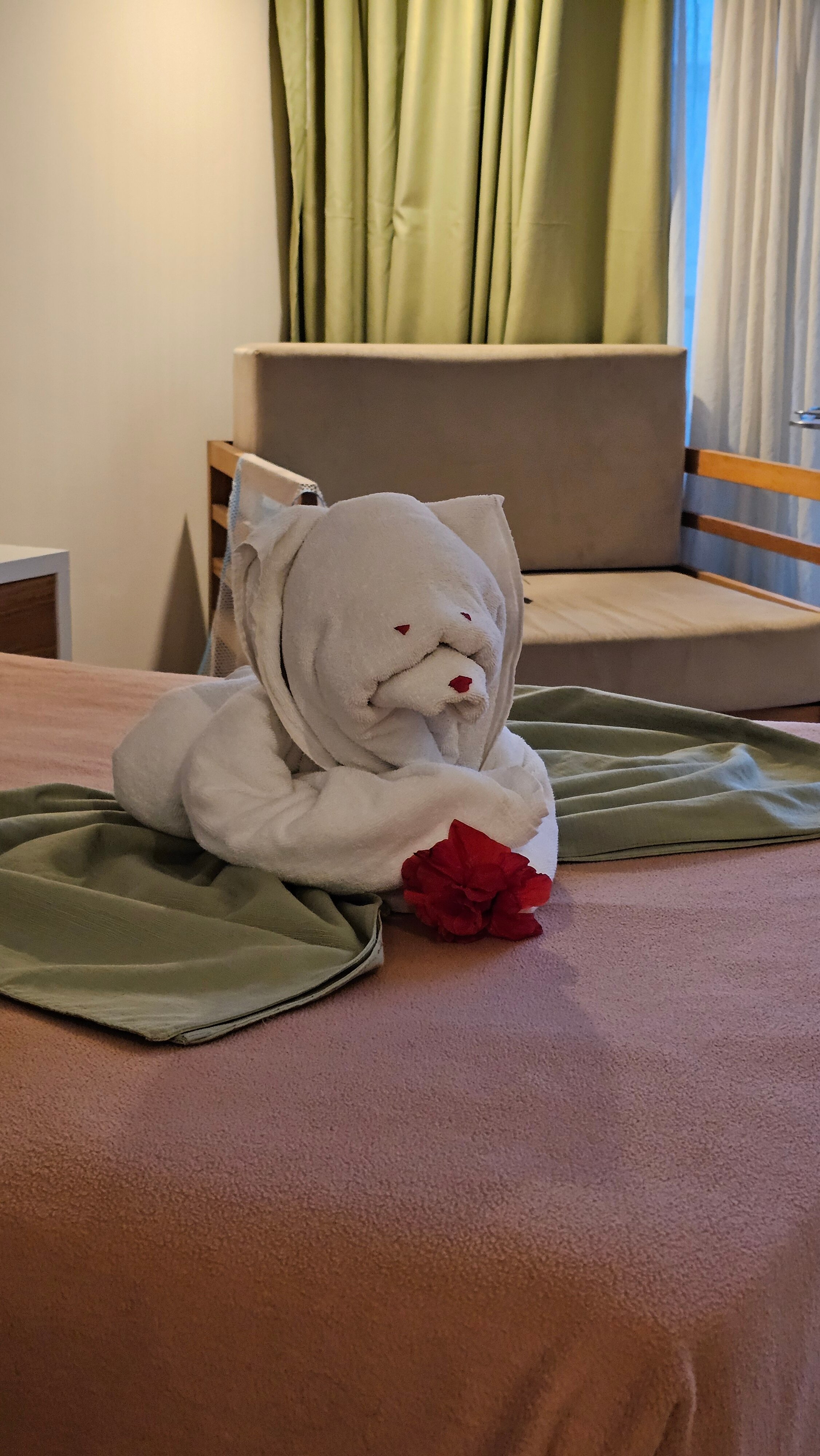 Фото Hotel Playa Vista Azul