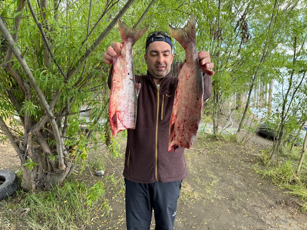 Фото Коттедж Вязоград