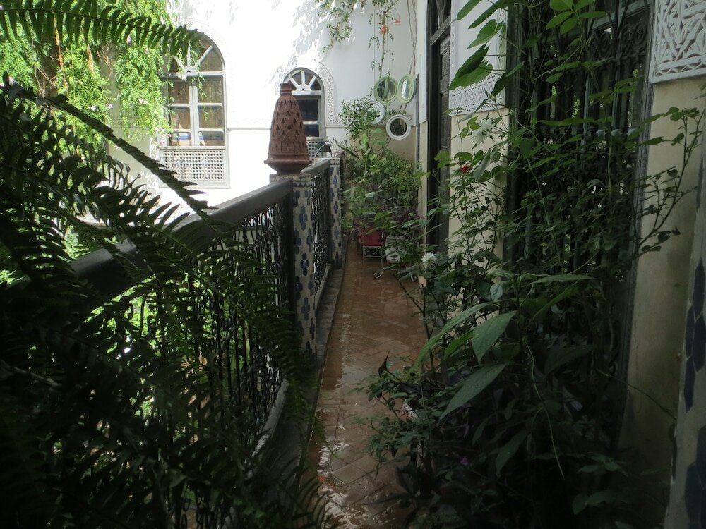 Фото Riad Maizie