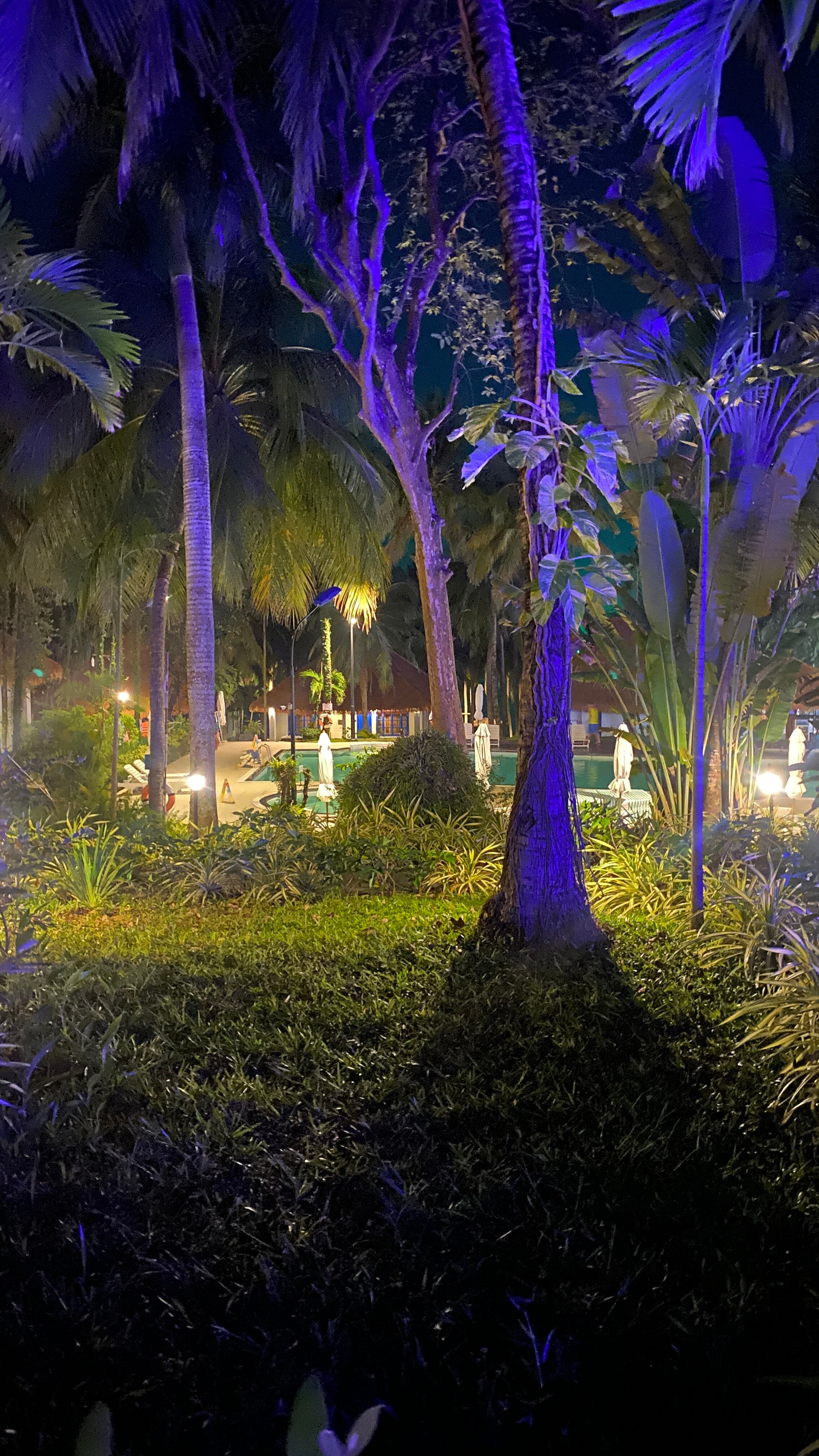 Фото L'Azure Resort and SPA