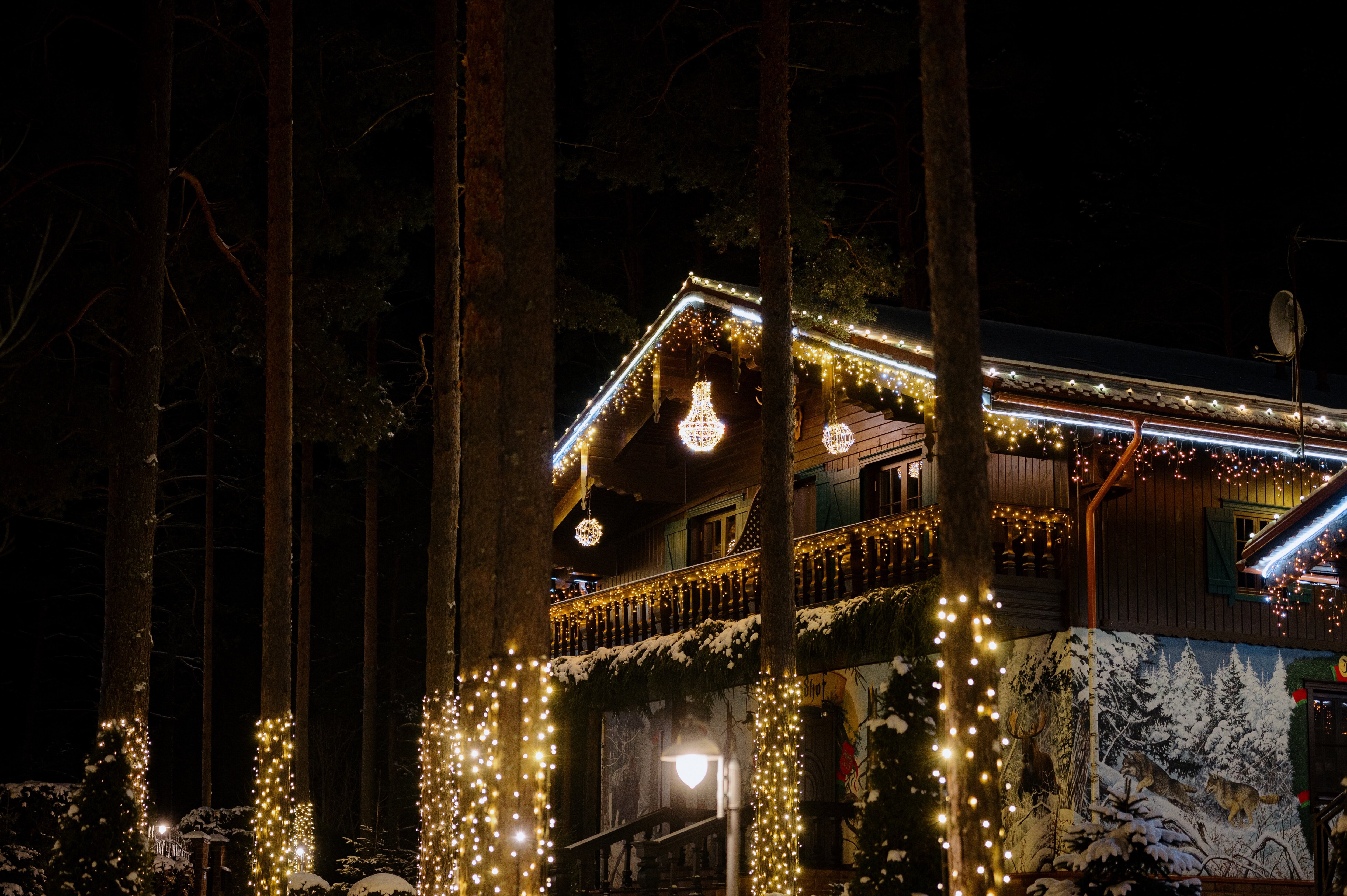 Фото Красный Бор