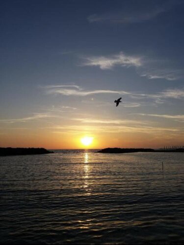 Внешний вид отеля Hotel De La Ville Relais в Фьюмичино, фото 3