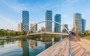 отель BrownDot Hotel Songdo