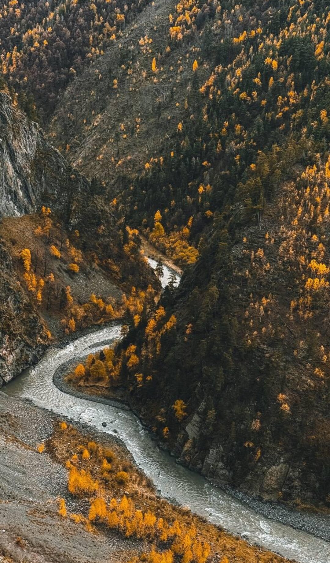 Фото Дубки Сулакский Каньон