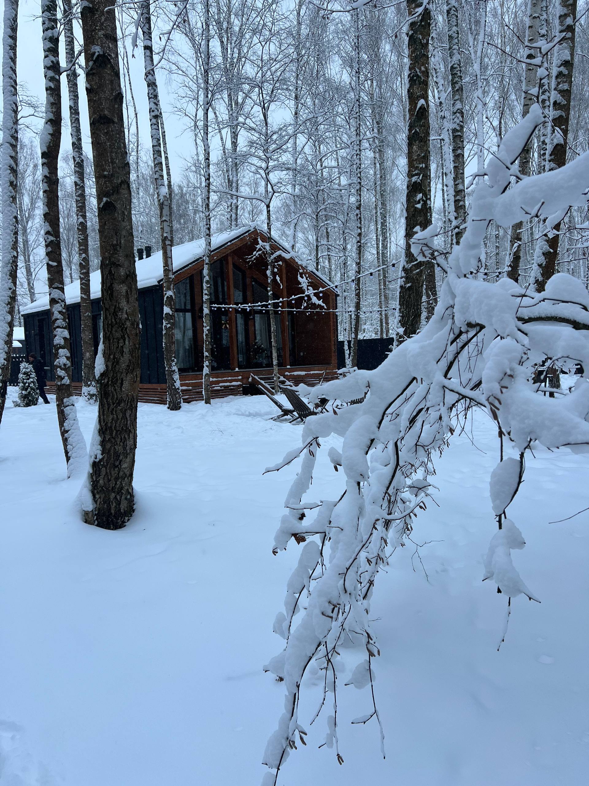 Фото У Березы