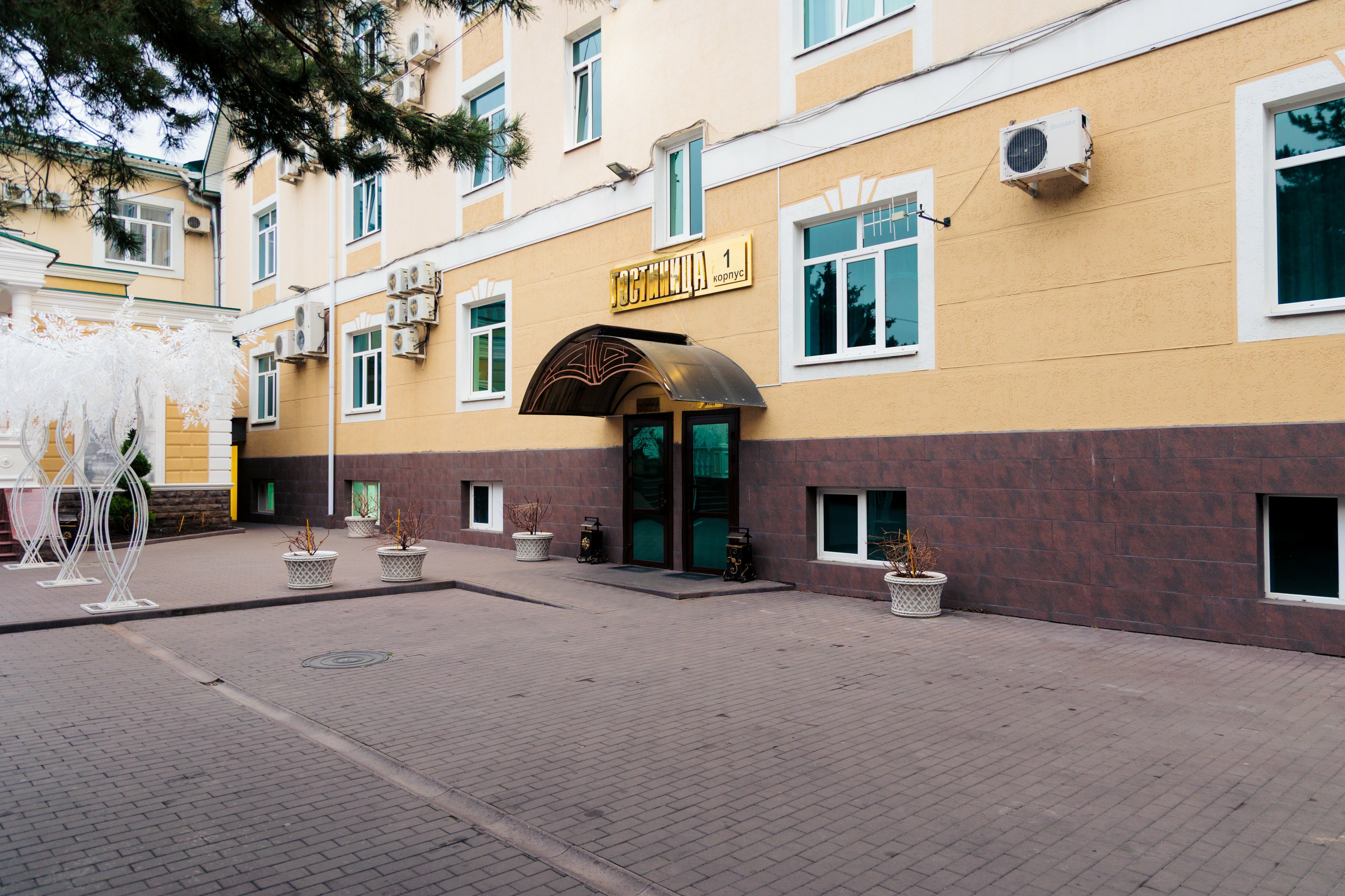 Фото Эдельвейс