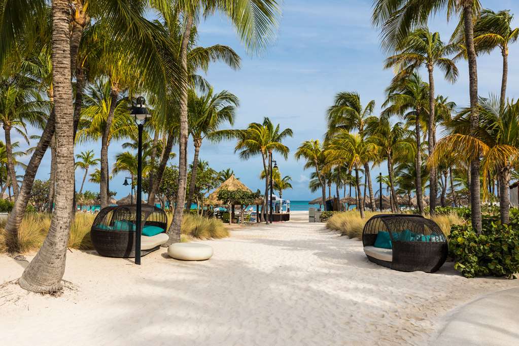 Фото Hilton Aruba Caribbean Resort and Casino