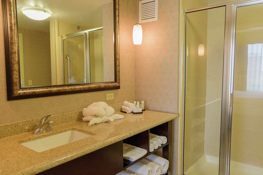 Фото Embassy Suites by Hilton Minneapolis North