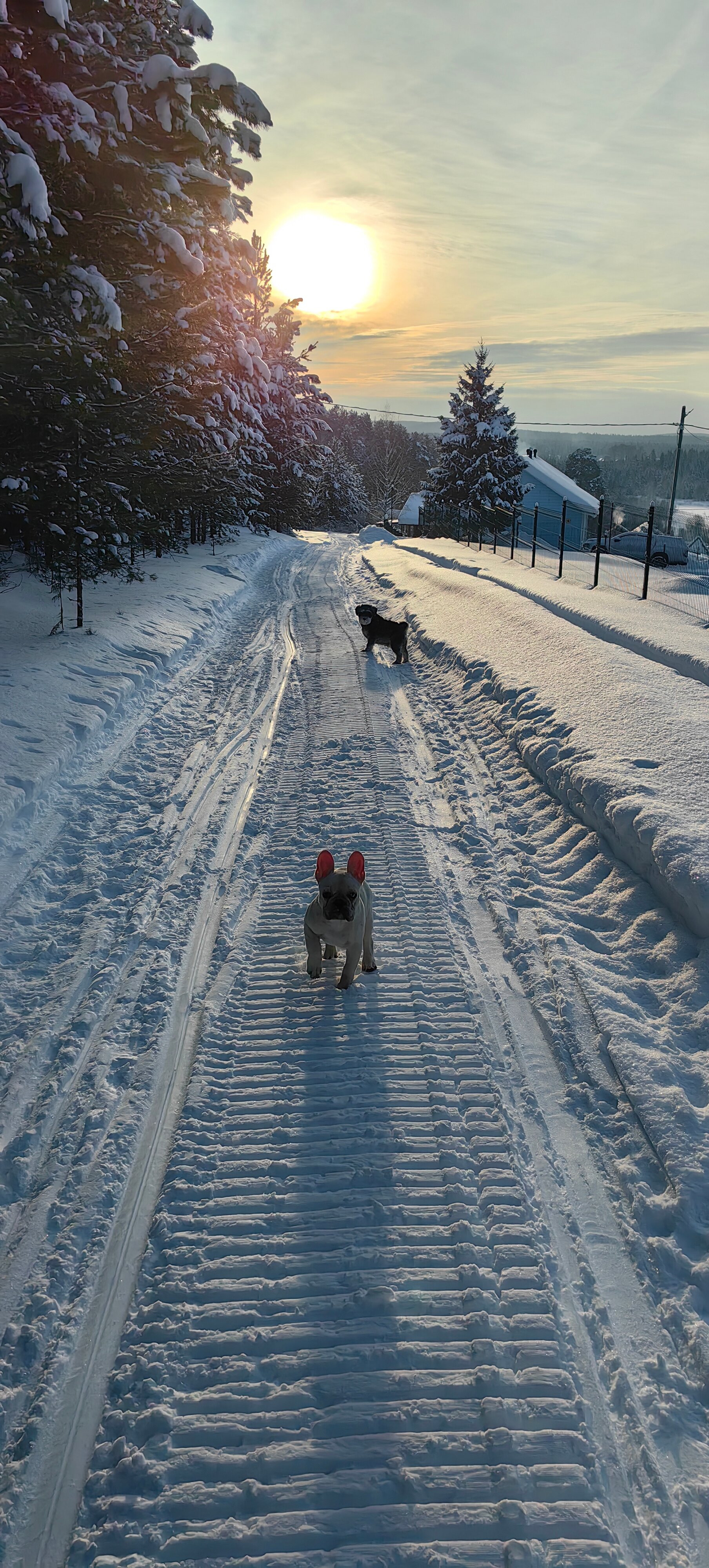Фото Загородные дома Свято-Николаевской Слободы
