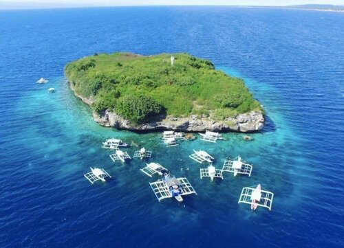 Внешний вид отеля Parrot Resort Moalboal в Моалбоале, фото 2