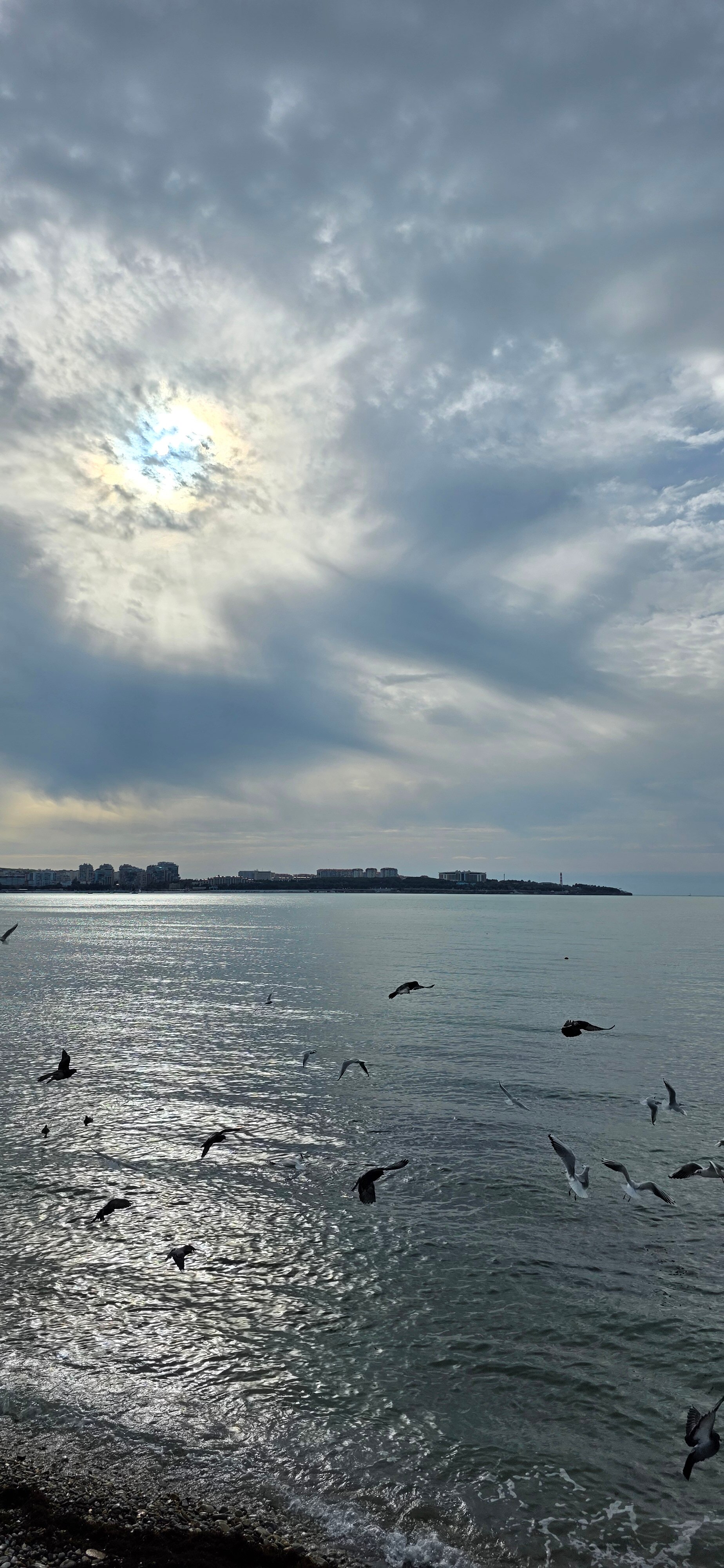 Фото У моря