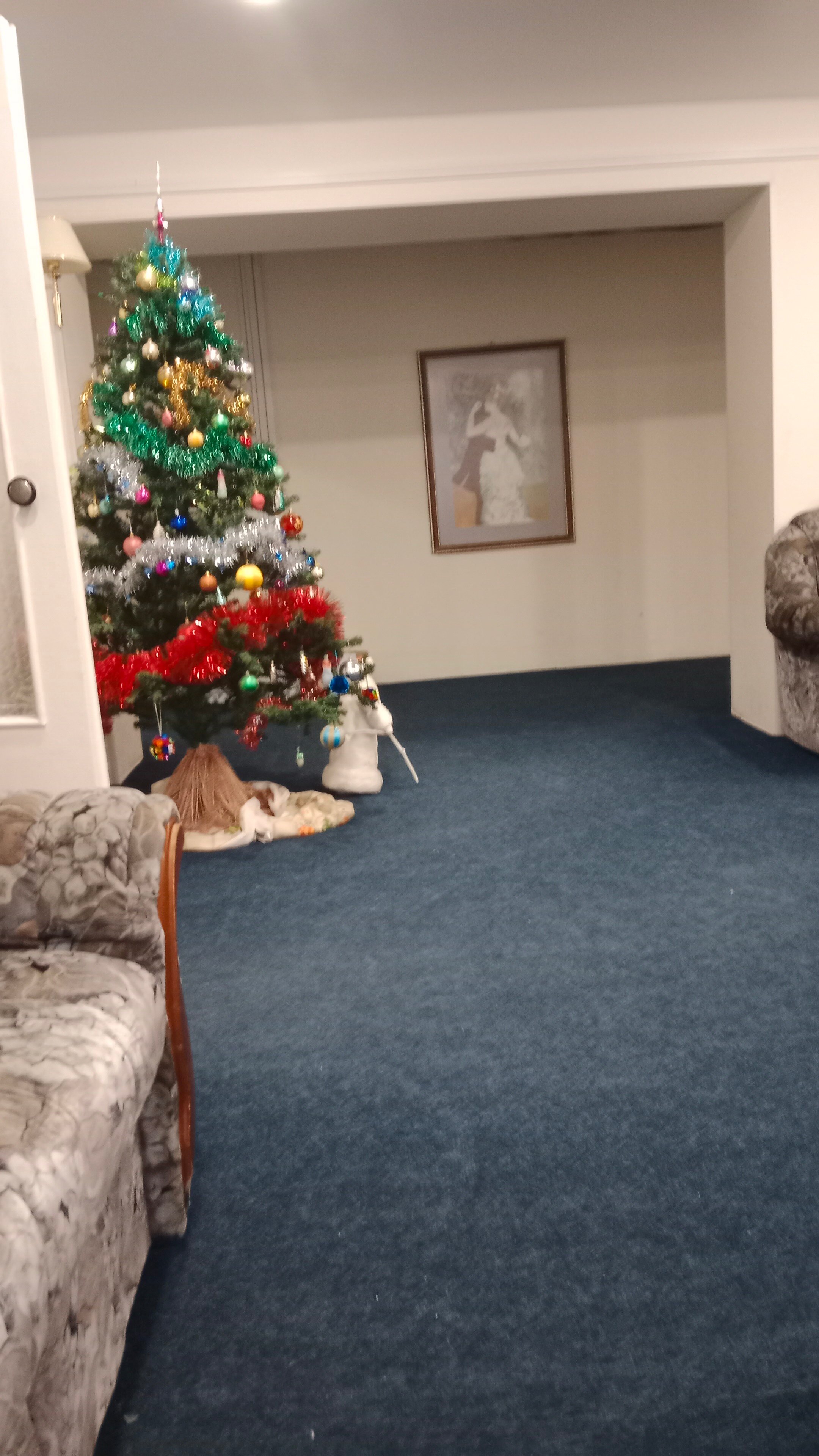 Фото Маршал