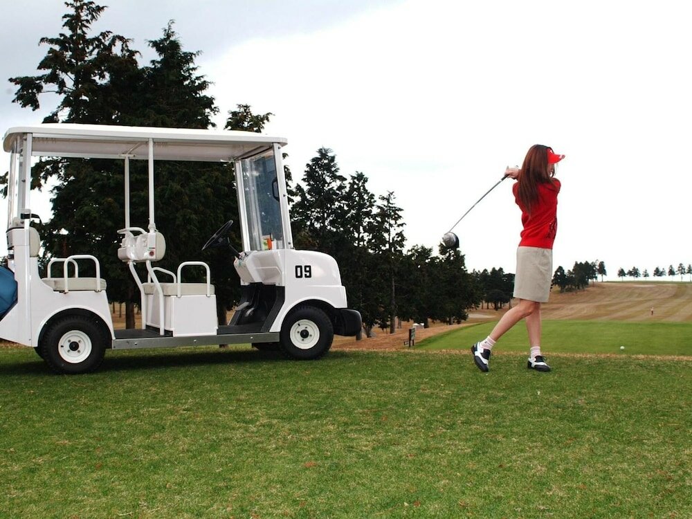 Фото Hakone Yunohana Prince Hotel