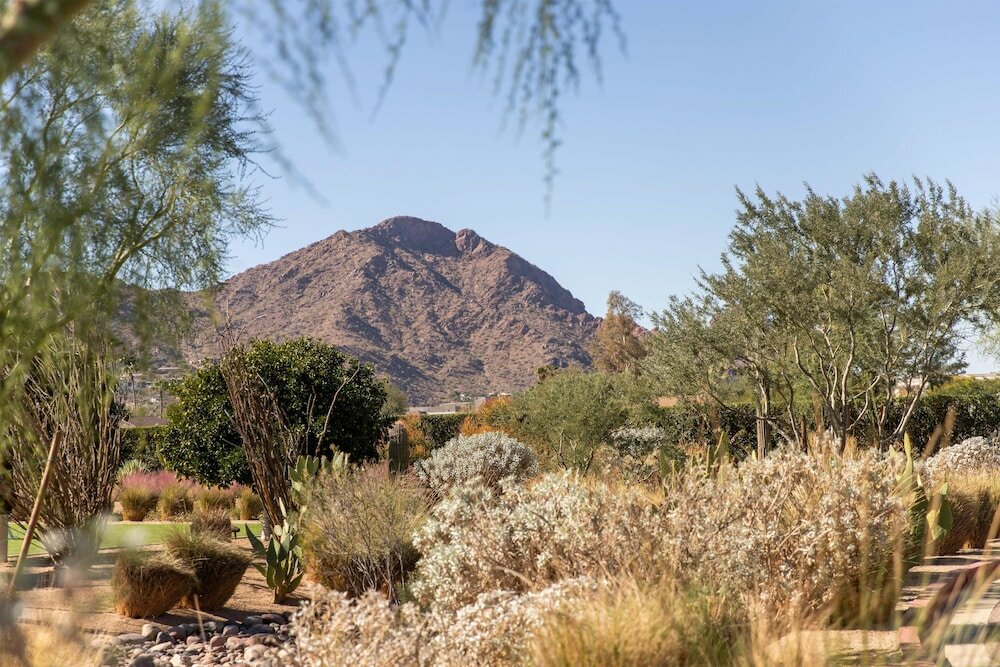 Фото Andaz Scottsdale Resort & Bungalows