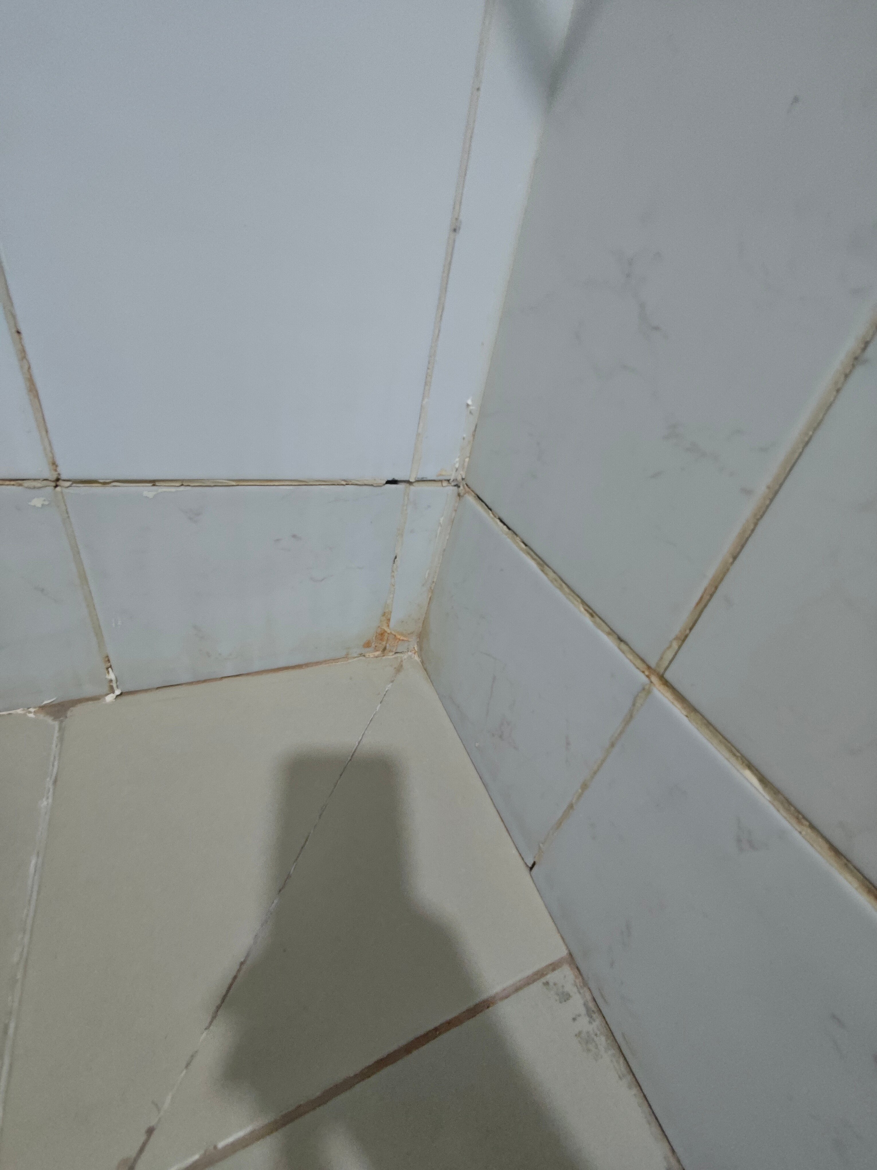 Фото Флагман
