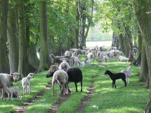 Гостиница 15 Inn в Провинции Антверпен