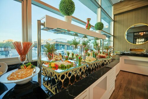 Гостиница Park Dedeman Elazig Hotel в Элязыге