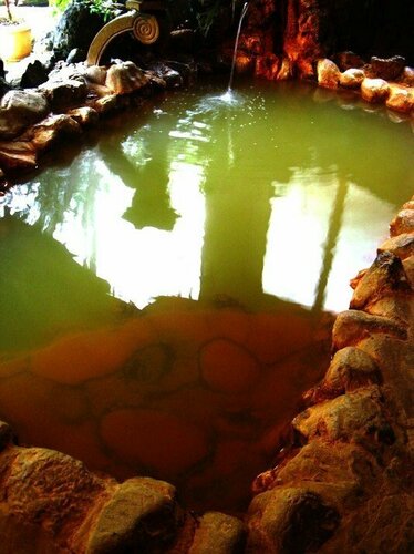 Гостиница Akagi Onsen Hananoyado Yunosawakan в Префектуре Гумма