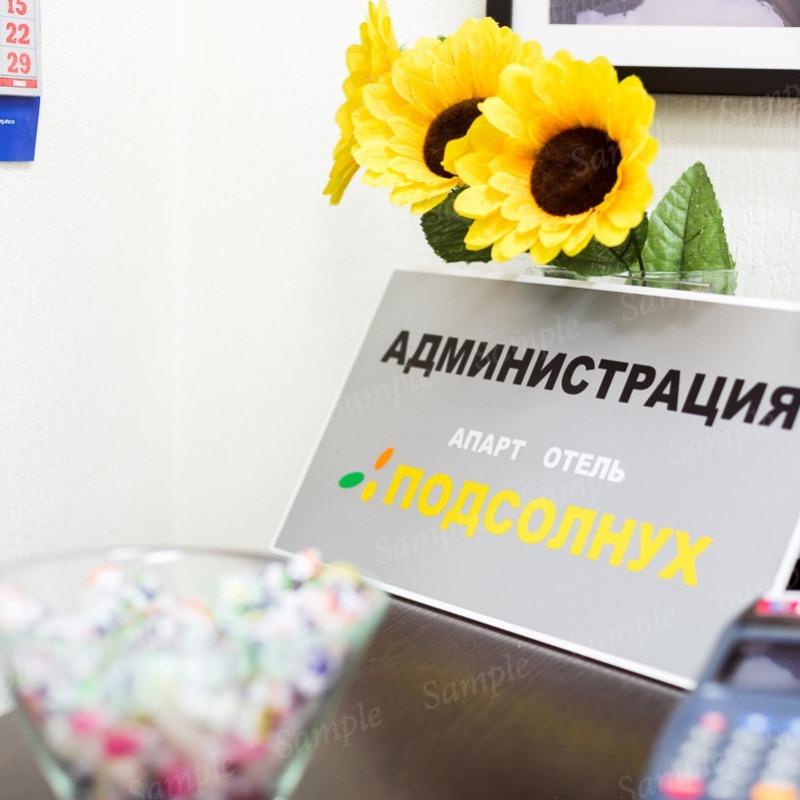 Фото Подсолнух