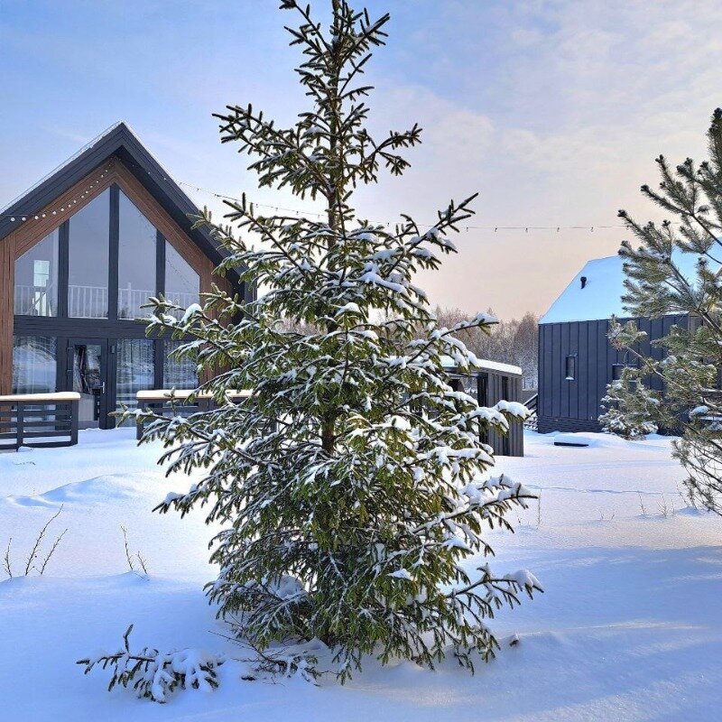 Фото Русские Сезоны Эмбиент Парк