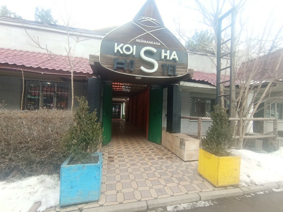 Фото Койша