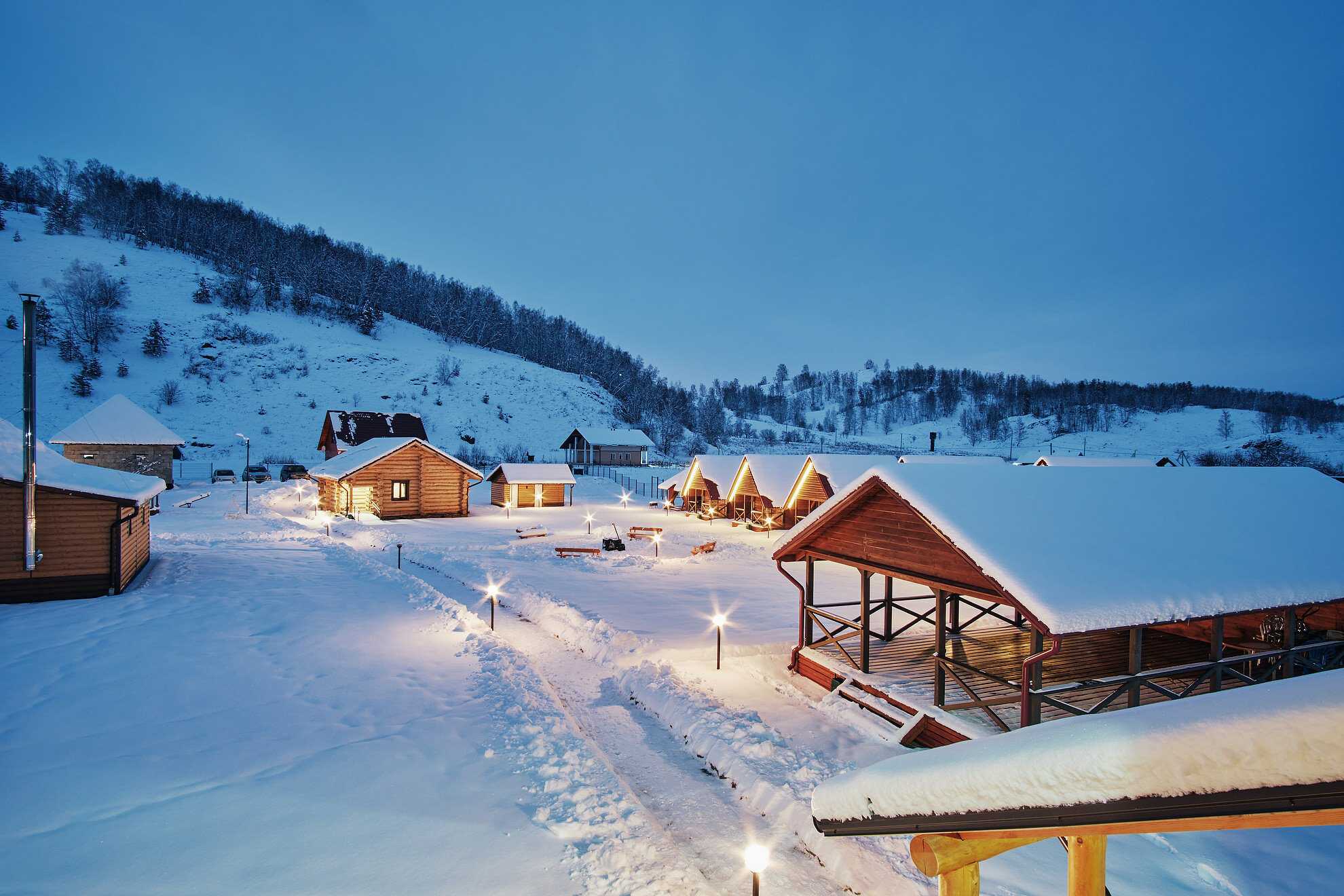 Фото Кедровый берег