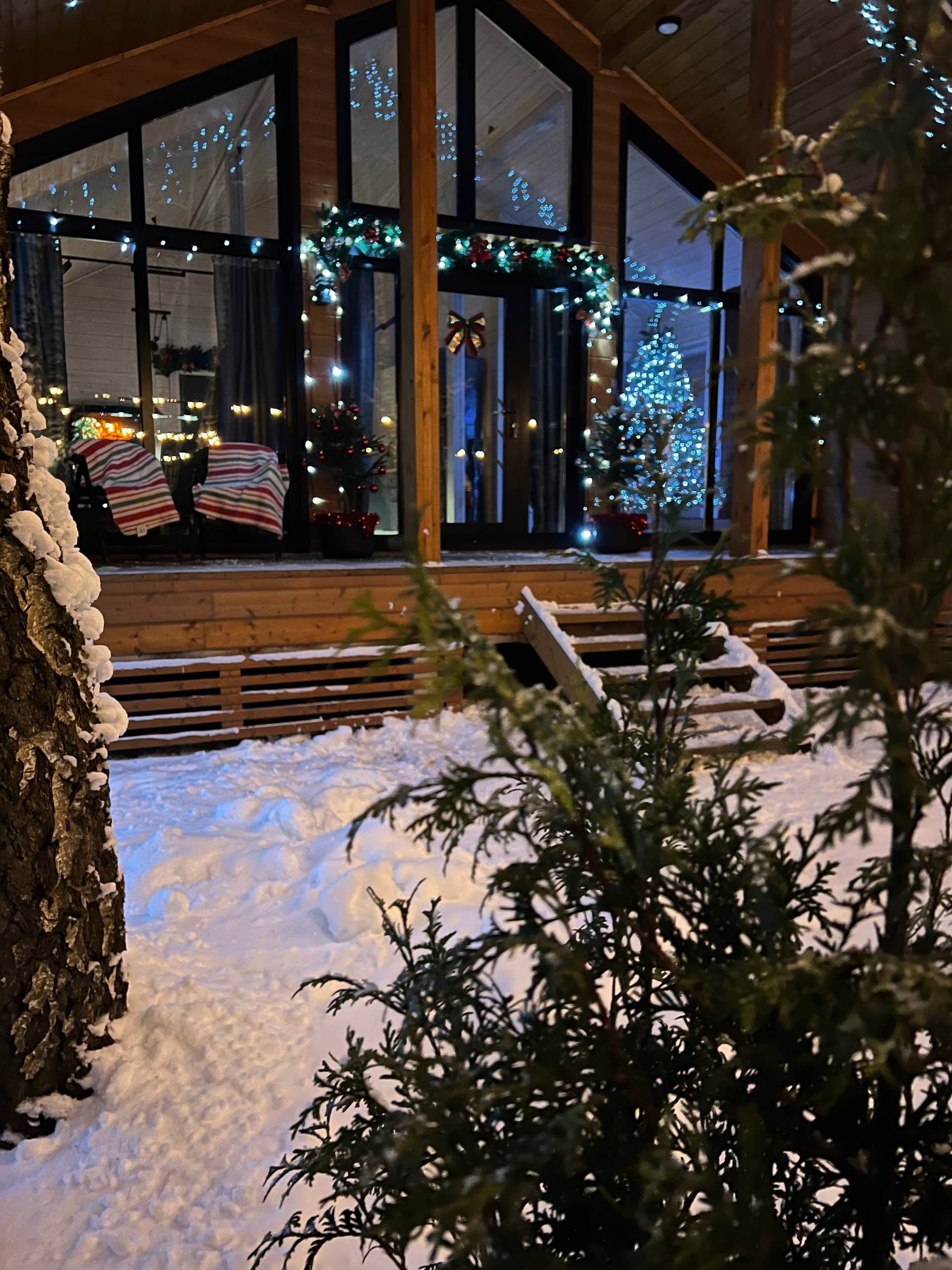 Фото У Березы