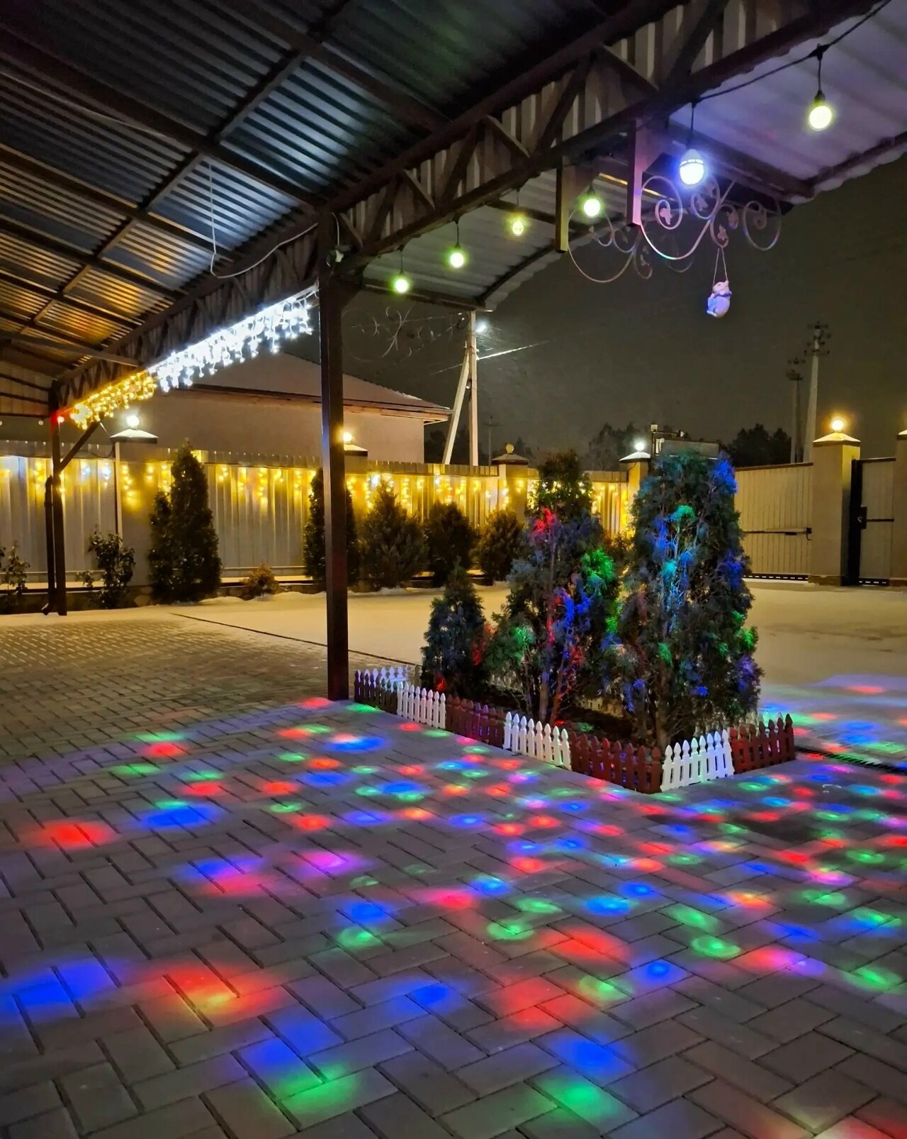 Фото Бумеранг