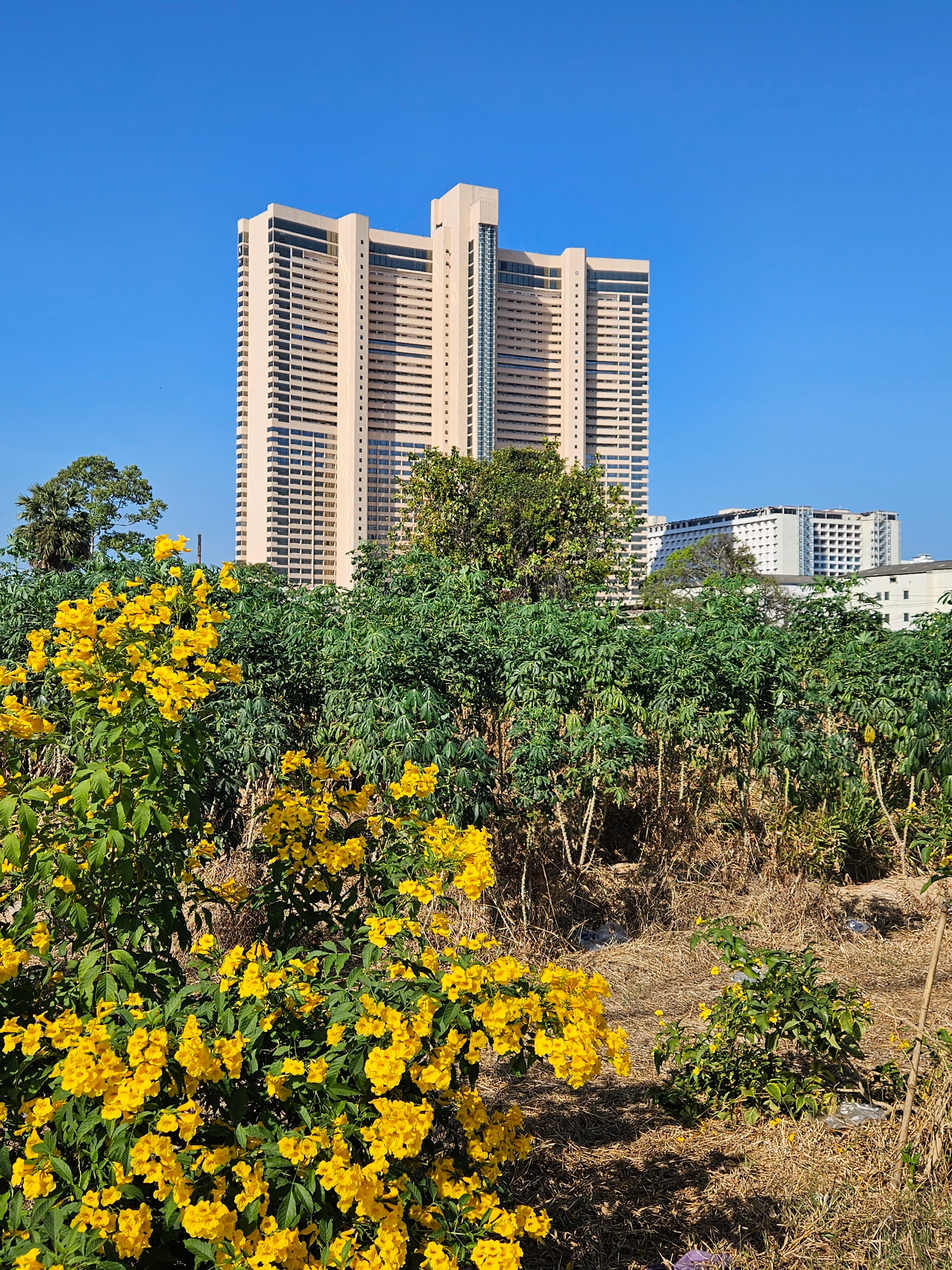 Фото Ambassador City Jomtien Marina Tower Wing