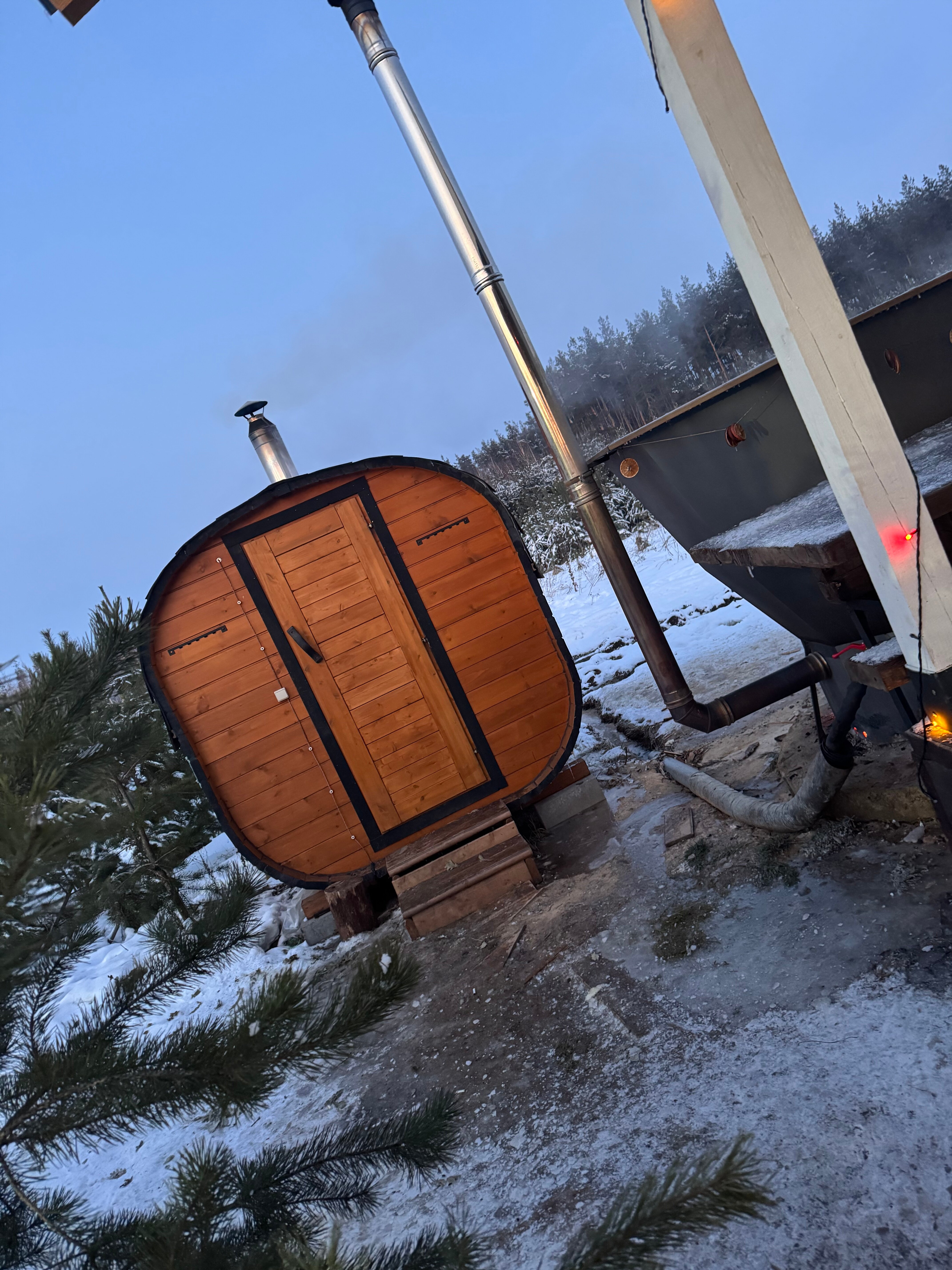 Фото Forest chan