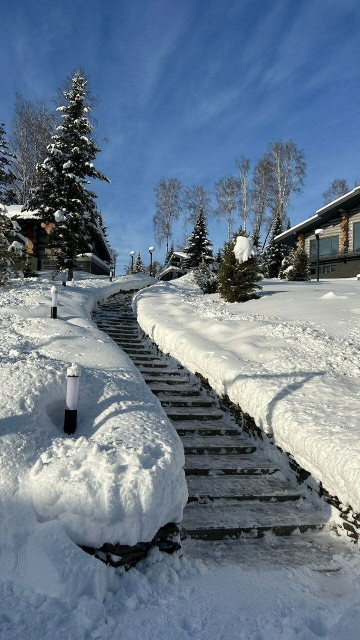 Фото Алтай Рестарт