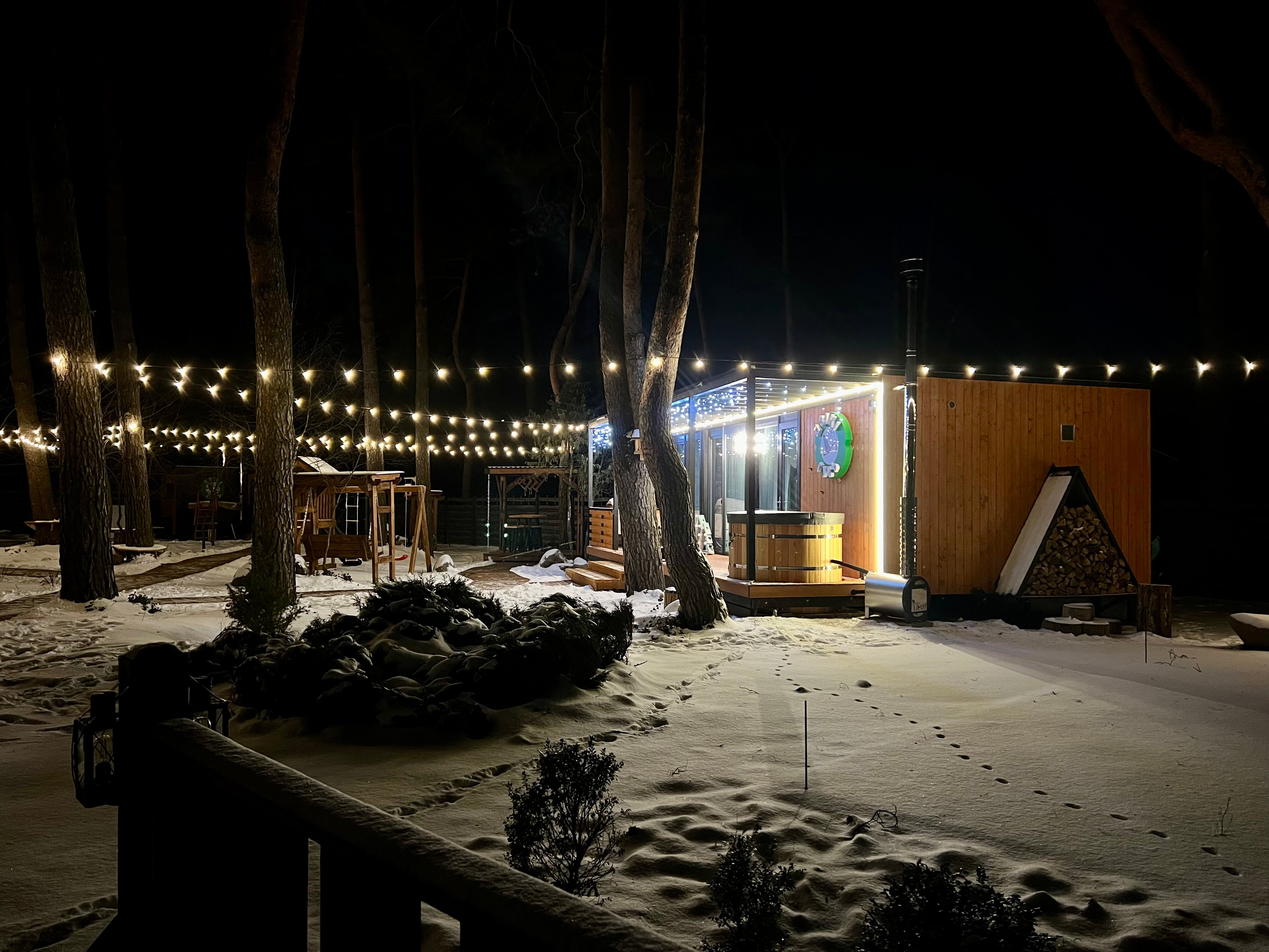 Фото Дикий гусь