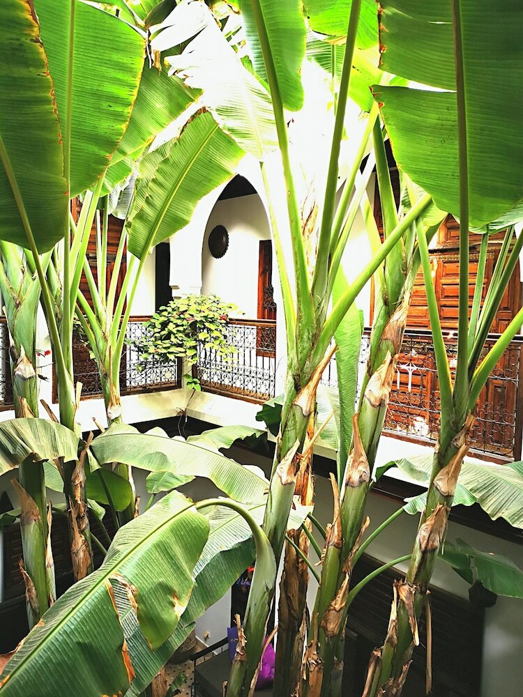 Фото Riad Mehdia