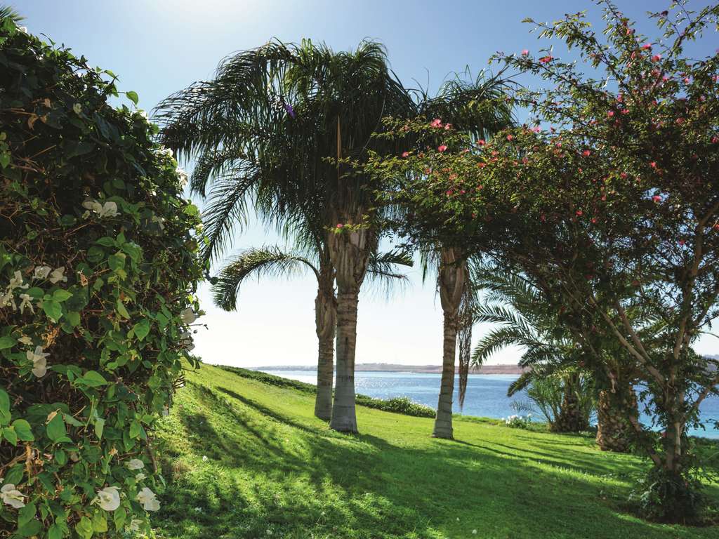 Фото Movenpick Resort Sharm El Sheik 