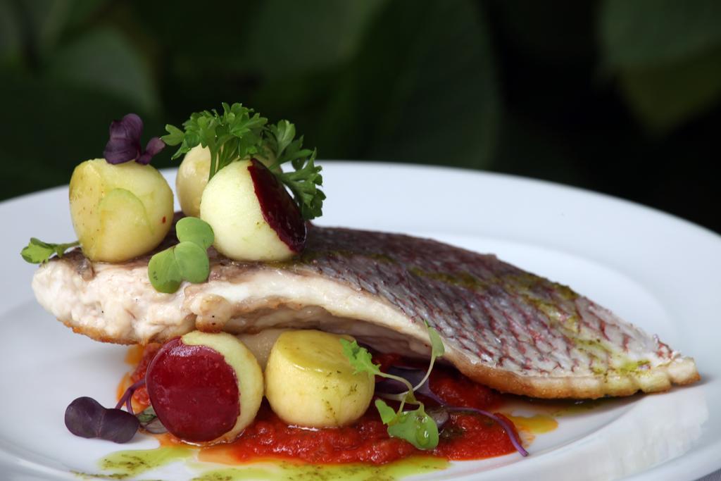 Фото Hotel Quinta de los Cedros