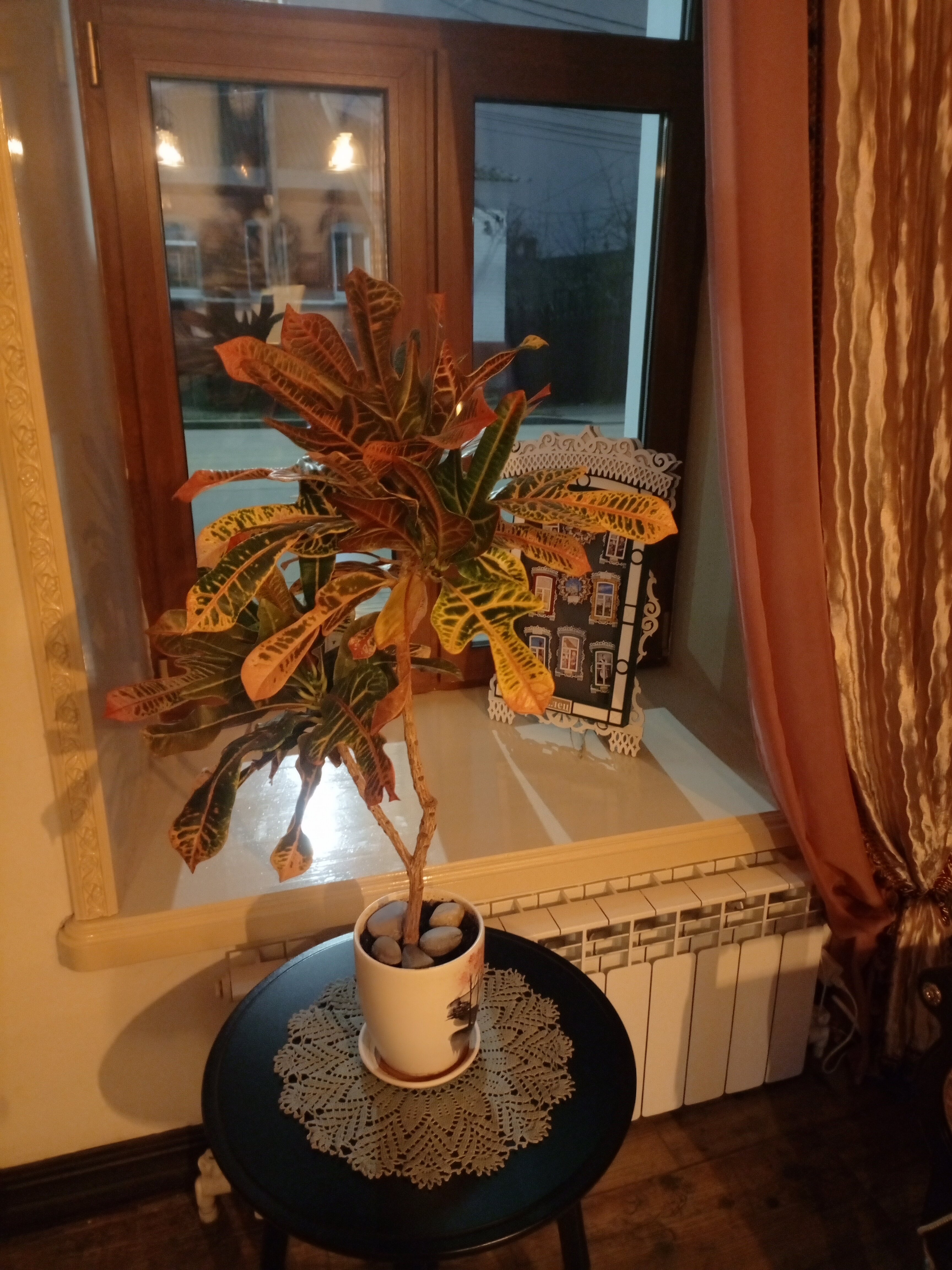 Фото Снегири