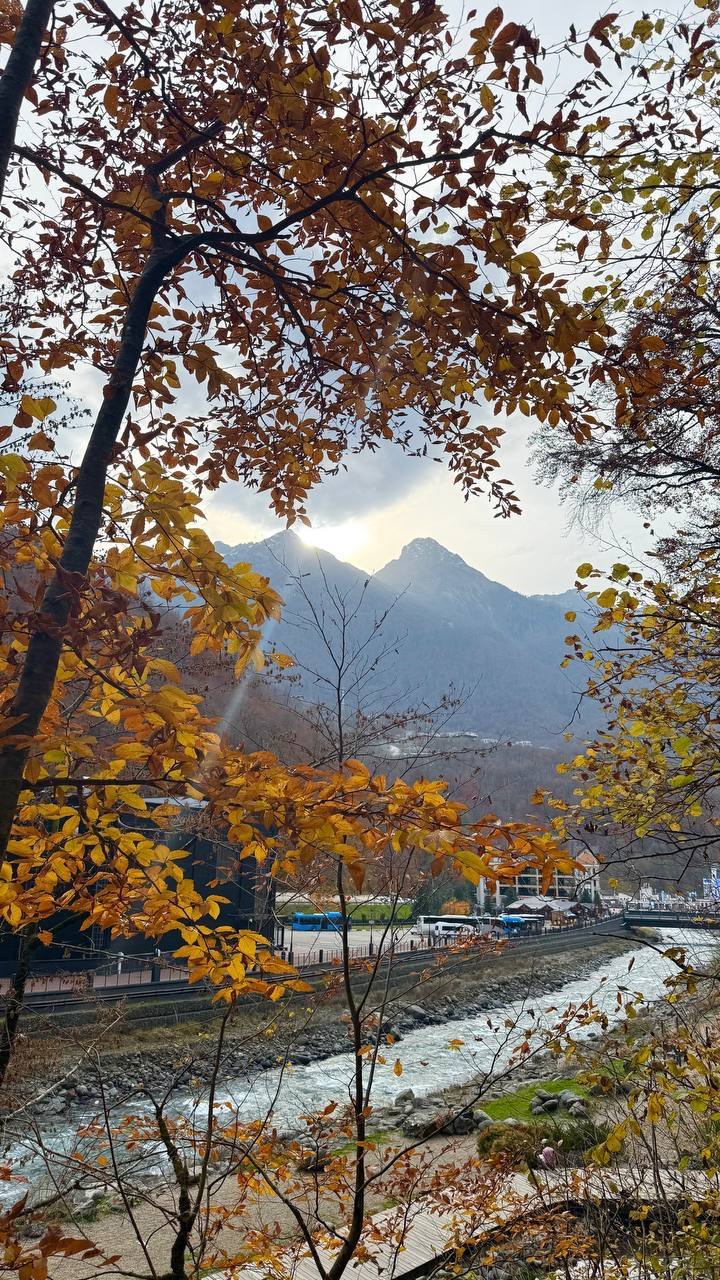 Фото Дачный квартал