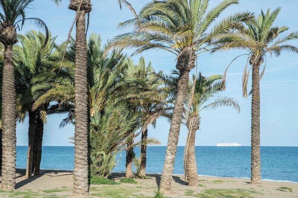 Фото Hotel Costa Málaga