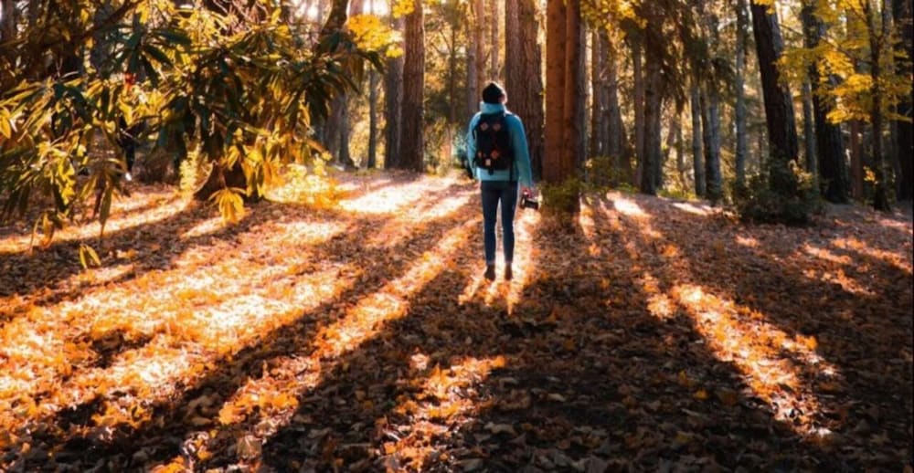Фото Courtyard by Marriott Burlington