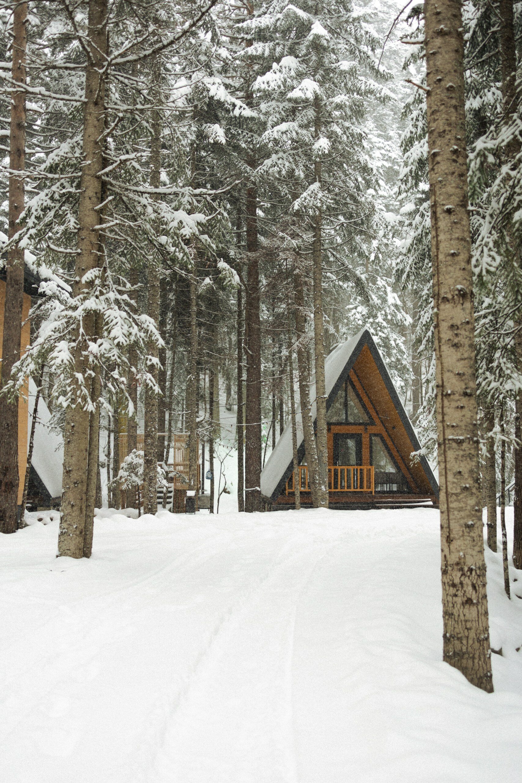 Фото Времена Года Village