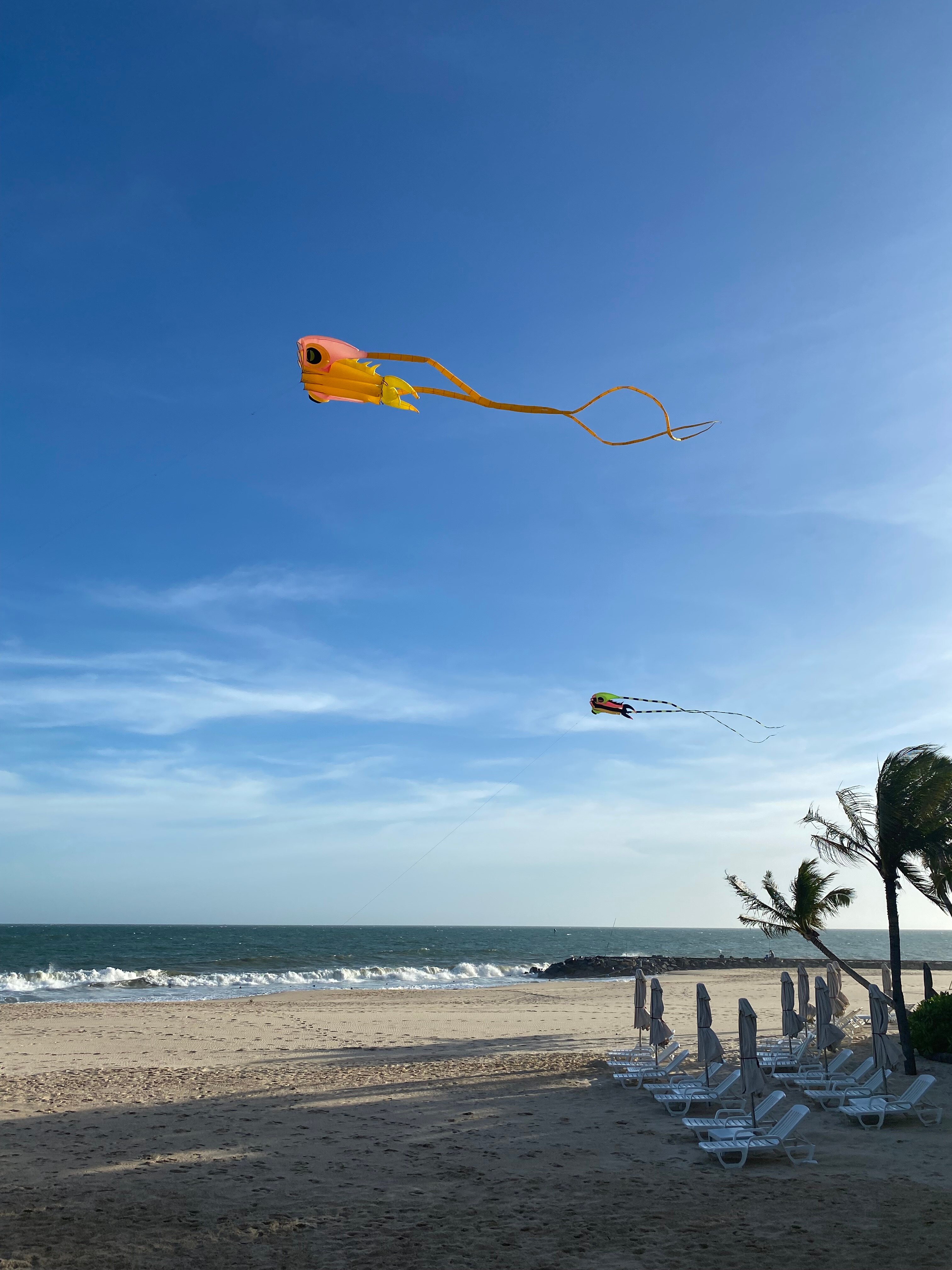 Фото The Cliff Resort & Residences