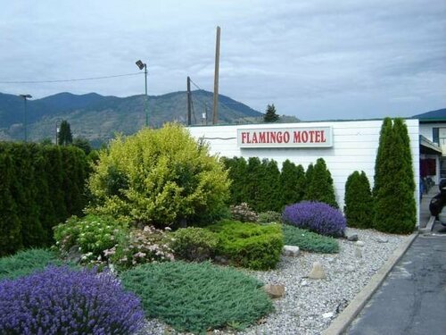 Гостиница Flamingo Motel в Пентиктоне