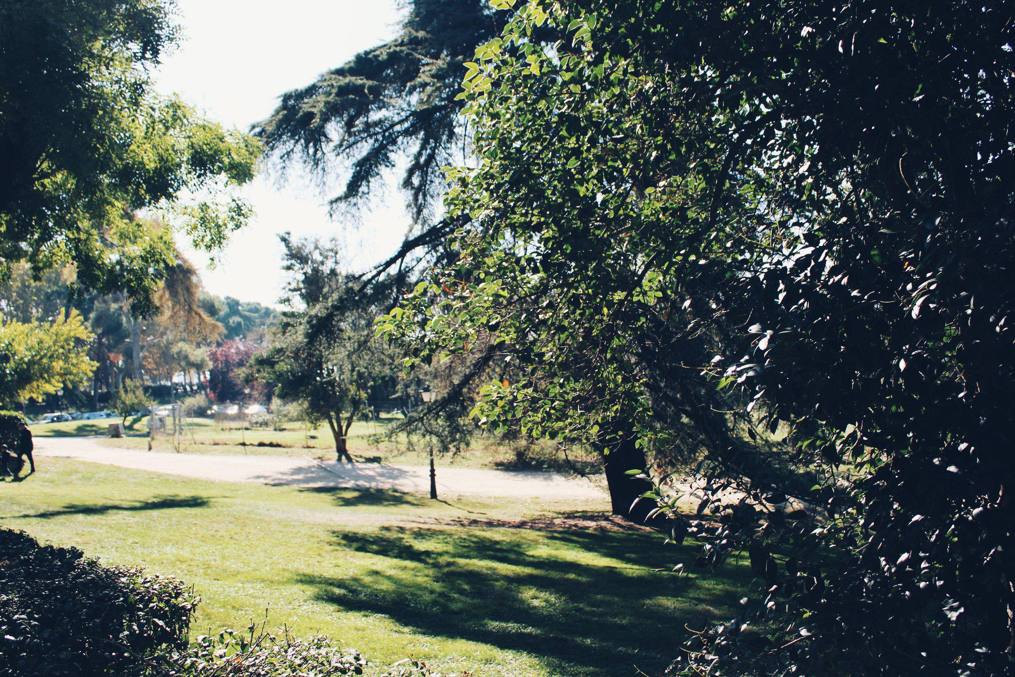 Фото Hotel Indigo Madrid - Princesa, an Ihg Hotel