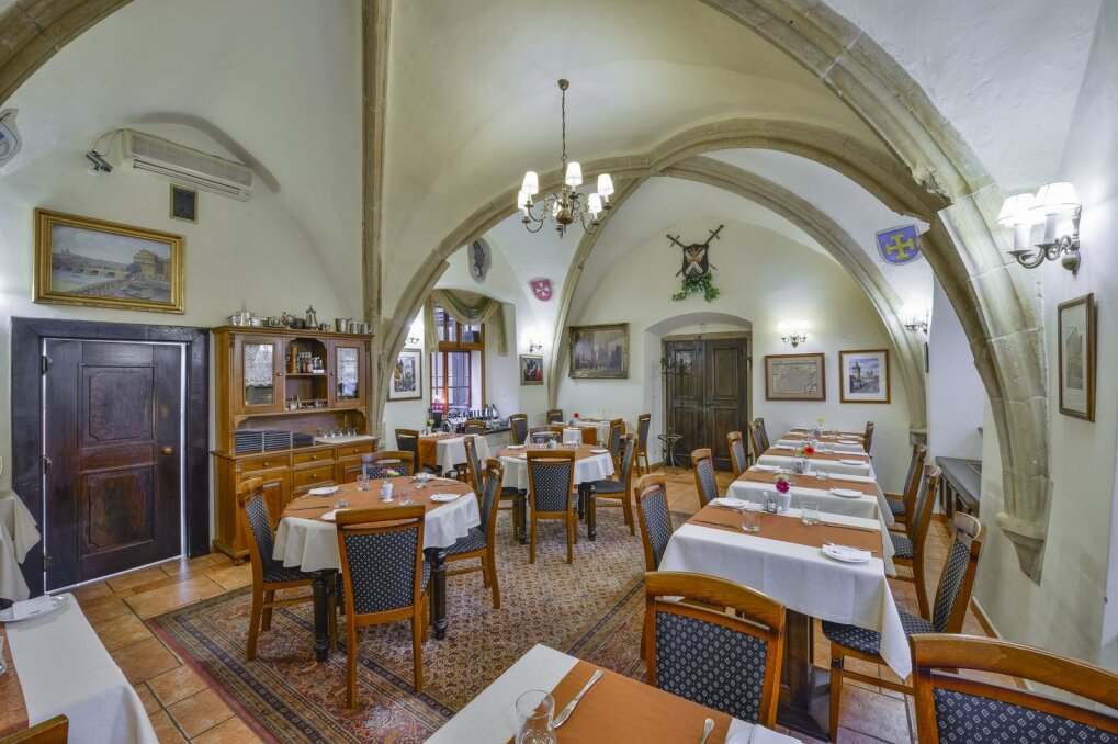 Фото Hotel Cerny Slon