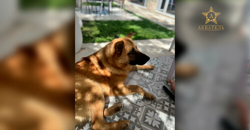 Гостевой дом Акватель в Крыму