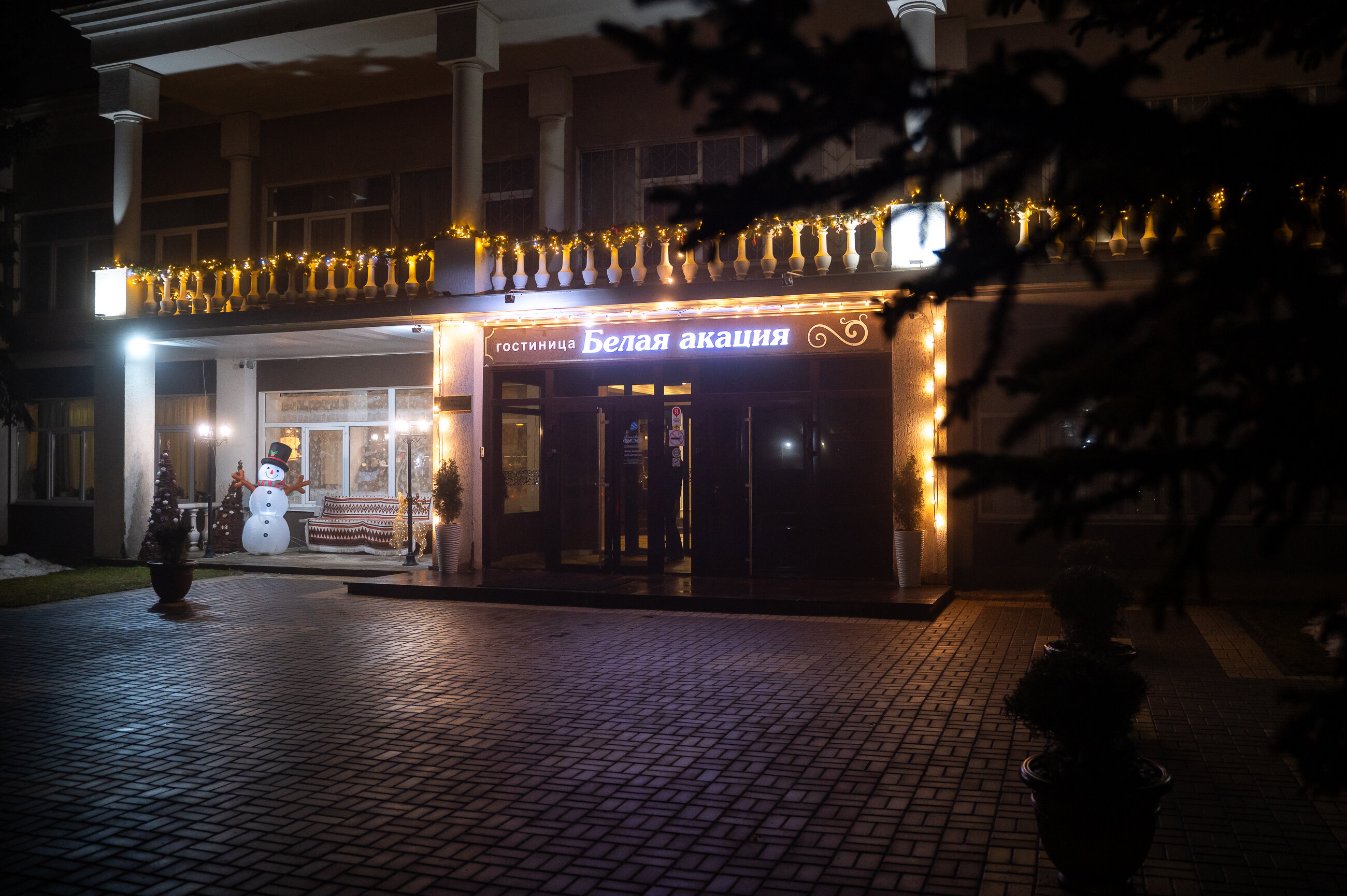 Фото Белая Акация